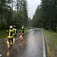 einsatz_2021-06-29_unwetter-baume_auf_fahrbahn_reg_8_02.jpeg
