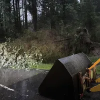einsatz_2021-06-29_unwetter-baume_auf_fahrbahn_reg_8_03.jpeg