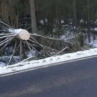 einsatz_2020-02-05_baum_auf_fahrbahn_lindbergmuhle-reg8_01.jpg