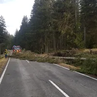 einsatz_2020-02-10_sturmeinsatze_tief_sabine_05.jpg
