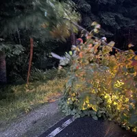 einsatz_2021-06-29_unwetter-baume_auf_fahrbahn_reg_8_06.jpeg