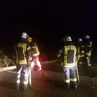 einsatz_2019-03-10_baum_auf_fahrbahn_lindbergmuhle-reg8_03.jpg
