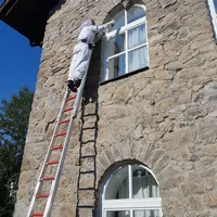 einsatz_2018-08-01_wespennest_entfernt_spiegelhutte_01.jpg