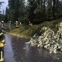 einsatz_2021-06-29_unwetter-baume_auf_fahrbahn_reg_8_01.jpeg