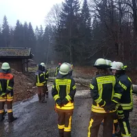 einsatz_2020-02-04_baum_auf_fahrbahn-nebengebaude_zwieslerwaldhaus_04.jpg