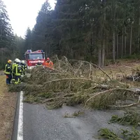 einsatz_2020-02-10_sturmeinsatze_tief_sabine_04.jpg