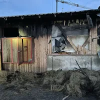 einsatz_2021-03-16_brandnachschau-brand_stall_lindbergmuhle_02.jpeg