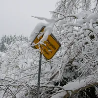 einsatz_2019-01-08_schneebruch_01.jpg