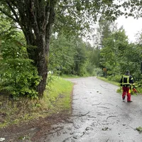 Einsatz_2023-06-21_Unwetter-Bäume auf Fahrbahn_02.jpeg
