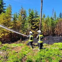 Einsatz_2023-06-04_Waldbrand_Spiegelhütte-REG8_01.jpg
