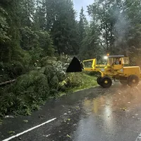 einsatz_2021-06-29_unwetter-baume_auf_fahrbahn_reg_8_04.jpeg