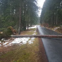 einsatz_2018-12-22_baum_auf_fahrbahn_kreuzstrassl-schleicher_02.jpg