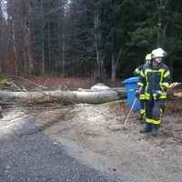 einsatz_2020-02-04_baum_auf_fahrbahn-nebengebaude_zwieslerwaldhaus_02.jpg