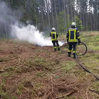 einsatz_2018-07-12_kleinbrand_im_freien_reg_8-waldgebiet_04.jpg