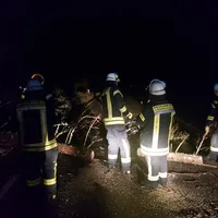 einsatz_2019-03-10_baum_auf_fahrbahn_lindbergmuhle-reg8_05.jpg
