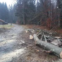 einsatz_2020-02-04_baum_auf_fahrbahn-nebengebaude_zwieslerwaldhaus_08.jpg