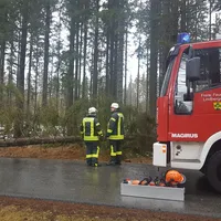 einsatz_2018-12-22_baum_auf_fahrbahn_kreuzstrassl-schleicher_03.jpg