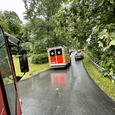 Einsatz_2023-07-29_PKW-Brand_Spiegelhütte_01.jpeg