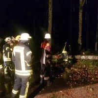 einsatz_2018-09-23_baum_auf_fahrbahn_zwieslerwaldhaus_02.jpg
