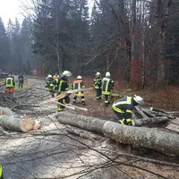 einsatz_2020-02-04_baum_auf_fahrbahn-nebengebaude_zwieslerwaldhaus_06.jpg