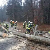einsatz_2020-02-04_baum_auf_fahrbahn-nebengebaude_zwieslerwaldhaus_05.jpg