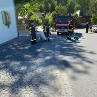 einsatz_2020-06-02_olspur_zwieslerwaldhaus_02.jpg