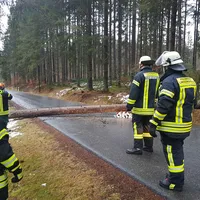 einsatz_2018-12-22_baum_auf_fahrbahn_kreuzstrassl-schleicher_05.jpg