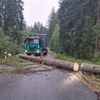 Einsatz_2023-06-21_Unwetter-Bäume auf Fahrbahn_03.jpg