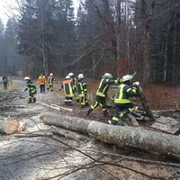 einsatz_2020-02-04_baum_auf_fahrbahn-nebengebaude_zwieslerwaldhaus_07.jpg