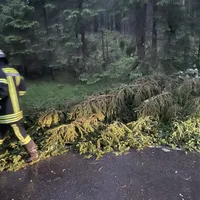 einsatz_2021-06-29_unwetter-baume_auf_fahrbahn_reg_8_05.jpeg