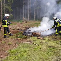 einsatz_2018-07-12_kleinbrand_im_freien_reg_8-waldgebiet_01.jpg