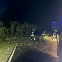 Einsatz_2023-10-03_Bäume auf Fahrbahn_REG 8 - Spiegelhütte_01.jpeg