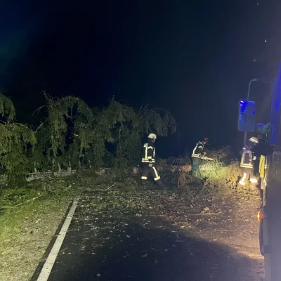 Einsatz_2023-10-03_Bäume auf Fahrbahn_REG 8 - Spiegelhütte_01.jpeg