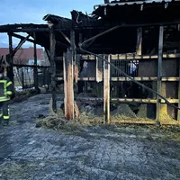 einsatz_2021-03-16_brandnachschau-brand_stall_lindbergmuhle_03.jpeg