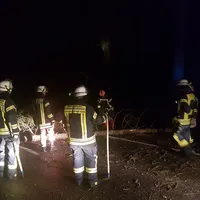 einsatz_2019-03-10_baum_auf_fahrbahn_lindbergmuhle-reg8_01.jpg