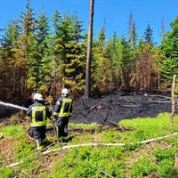 Einsatz_2023-06-04_Waldbrand_Spiegelhütte-REG8_02.jpg