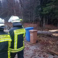 einsatz_2020-02-04_baum_auf_fahrbahn-nebengebaude_zwieslerwaldhaus_03.jpg